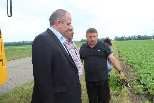 Смотр культуры земледелия провели в Тбилисском районе